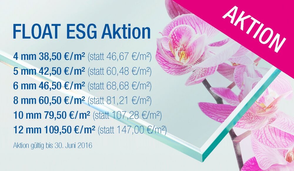 Einscheibensicherheitsglas (ESG) Aktion
